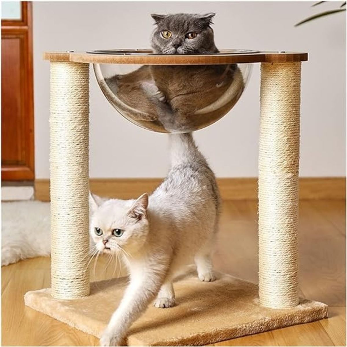 CRUSEC - Nido Rascador Cama Para Gato Cápsula Transparente Moderno