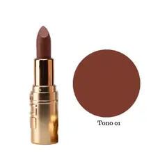 USHAS - Labial en Barra Matte T01