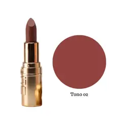 USHAS - Labial en Barra Matte T02