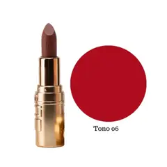 USHAS - Labial en Barra Matte T06