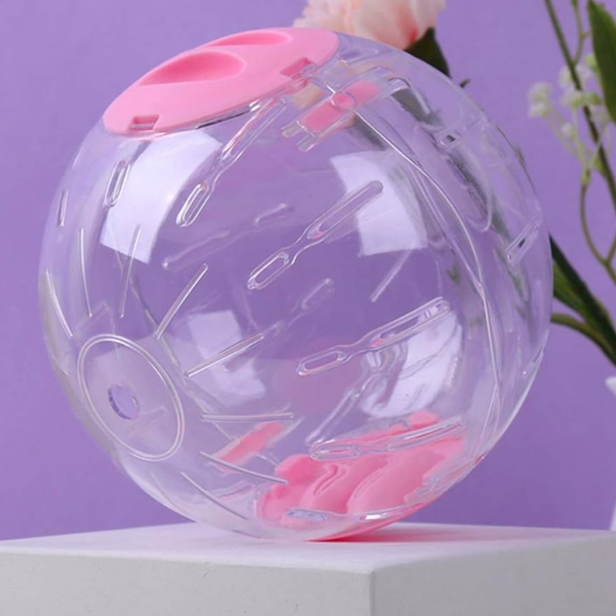 GENERICO - Pelota De Hámster De 16 Cm Bola Hámster Juguete