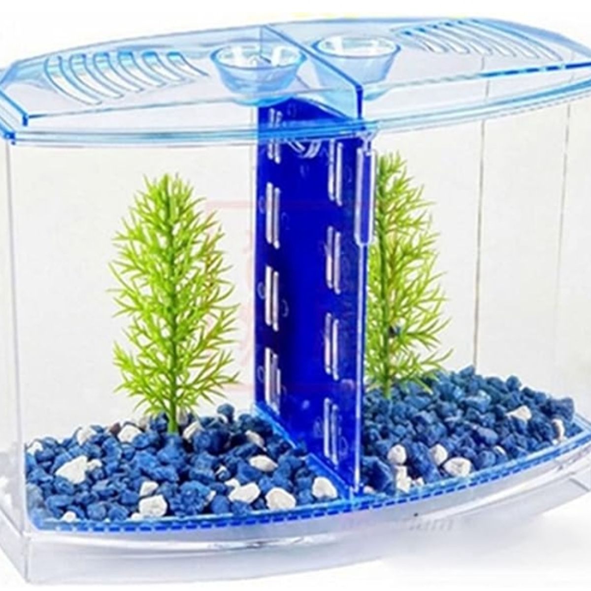 GENERICO - Peceras Pequeñas Arcylic Gupppy Baby Small Fish