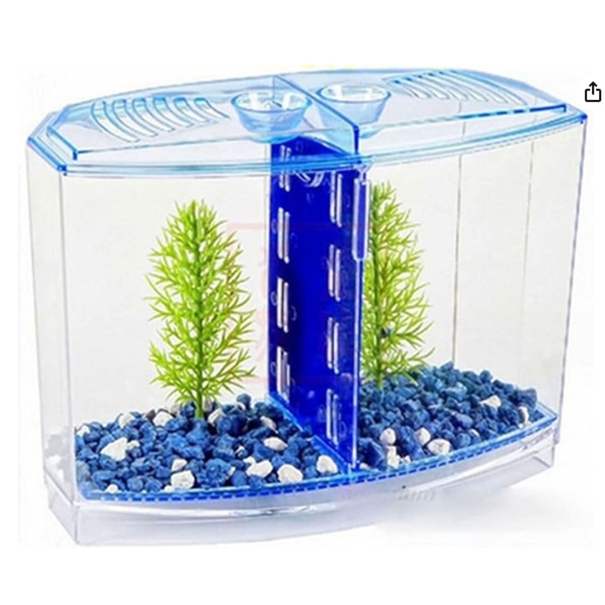 GENERICO - Peceras Pequeñas Arcylic Gupppy Baby Small Fish