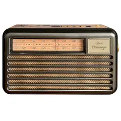 MICROLAB - Radio Portatil FM Recargable Bluetooth Panel Solar Provenze