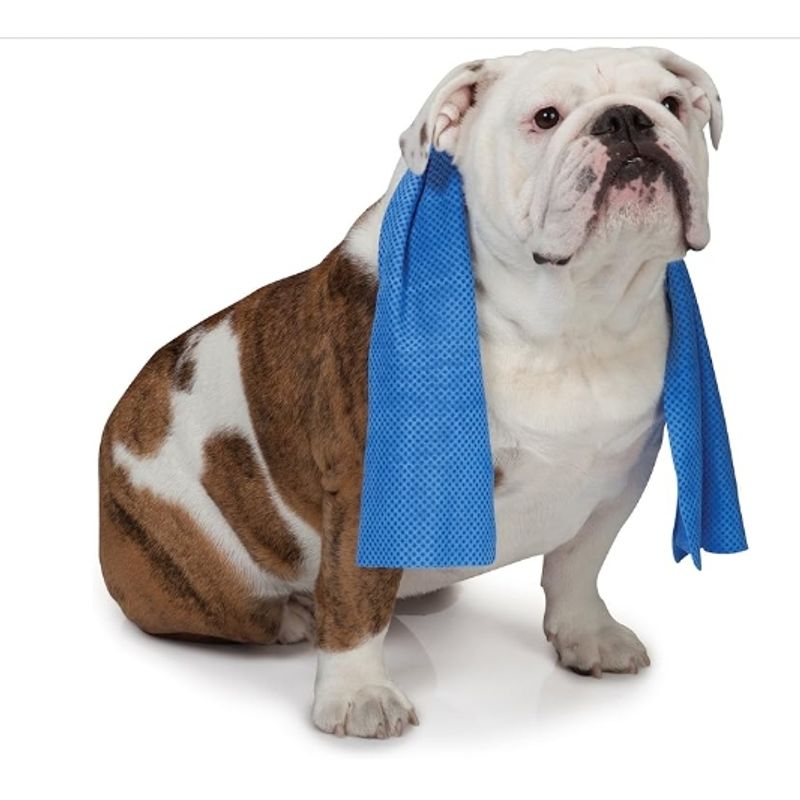 GENERICO - Toalla De Refrigeración Para Mascotas Reutilizable