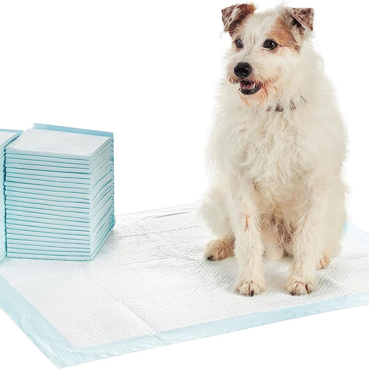 GENERICO - Sabanillas Pañales 100 Unidades Perros Y Gato 33x45cm