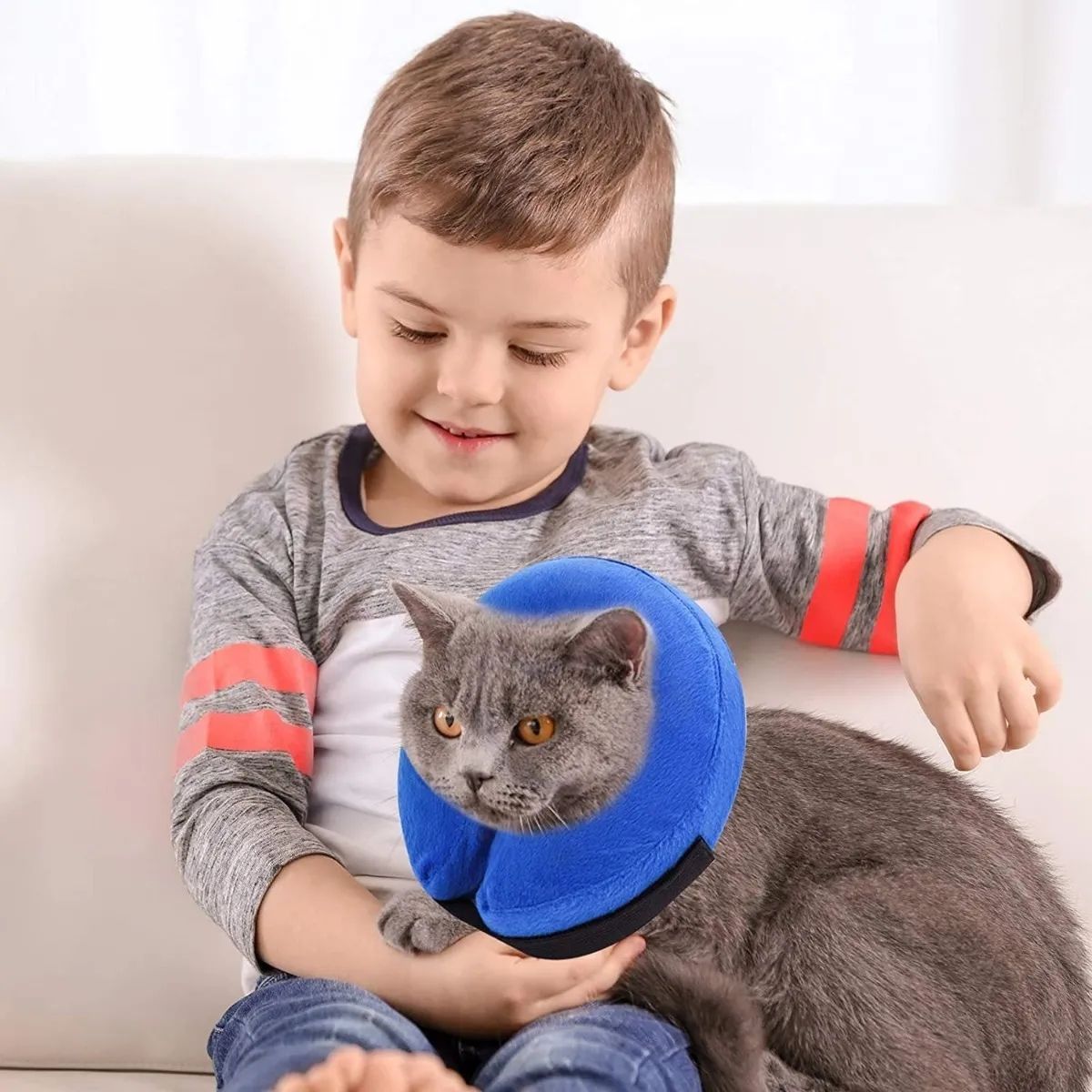 GENERICO - Collar Inflable Anti-mordidas Para Perros Y Gatos Elizabeth