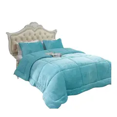 GENERICO - Cobertor De Invierno 2 Plazas Plush Lisos 250x230cm Azul Claro