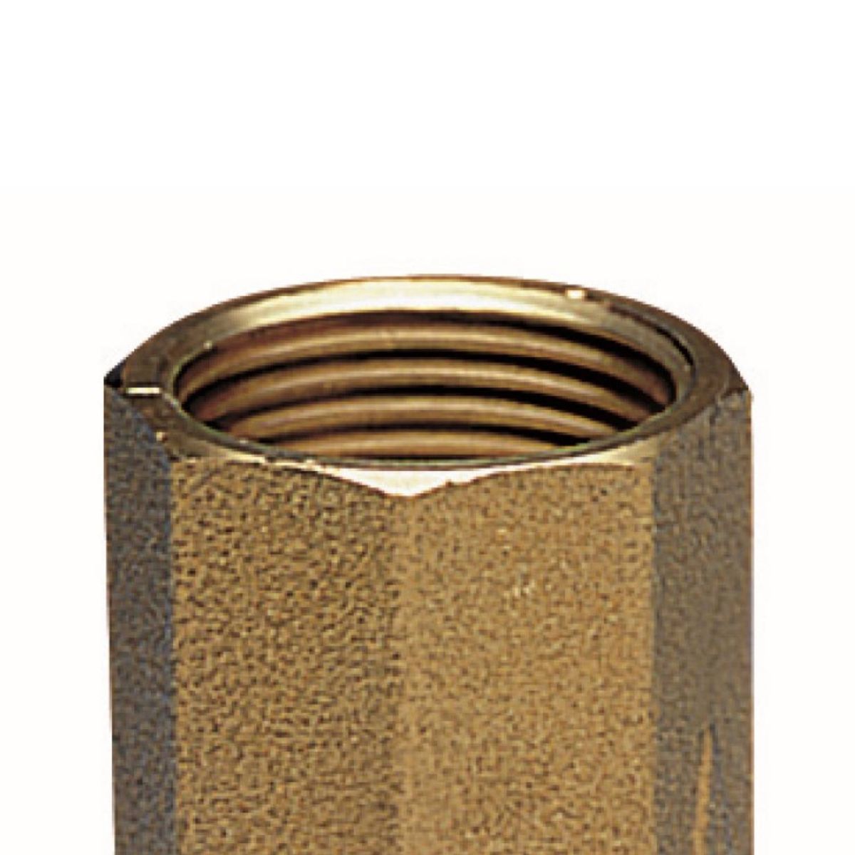 ENOLGAS - Valvula De  Retención   1' Profesión Enolgas