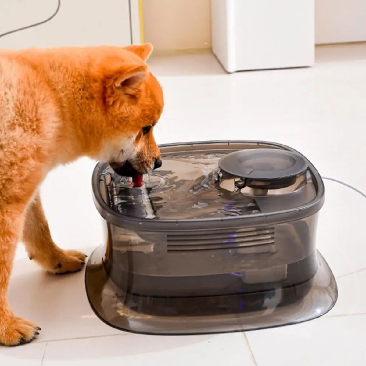 GENERICO - Fuente De Agua Silenciosa Para Mascotas Dispensador