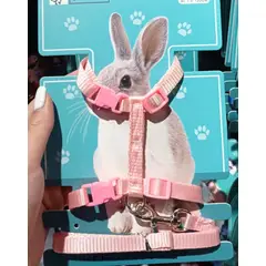 GENERICO - Arnes Para Conejo Colores Surtidos Mascotas