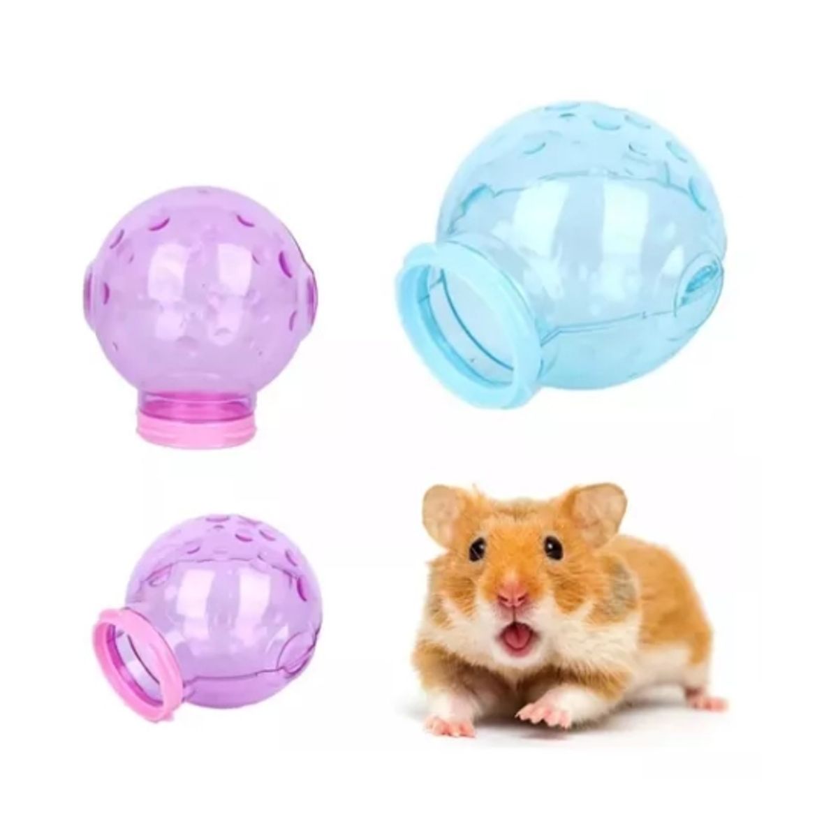 GENERICO - Baño Ducha Para Hamster Conexion Externa Para Jaulas