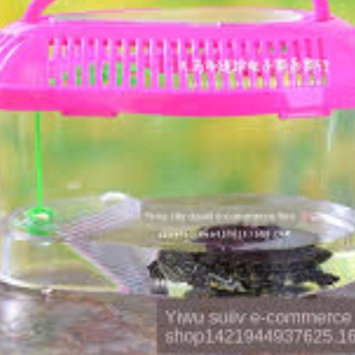 GENERICO - Mini Caja De Pecera Tanque De Plastico