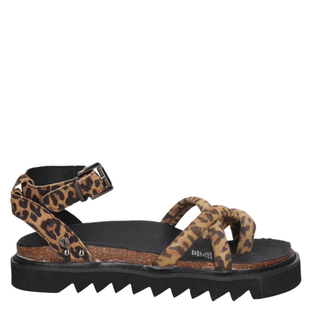 ZAPPA - Sandalia Casual Marrón claro Zappa