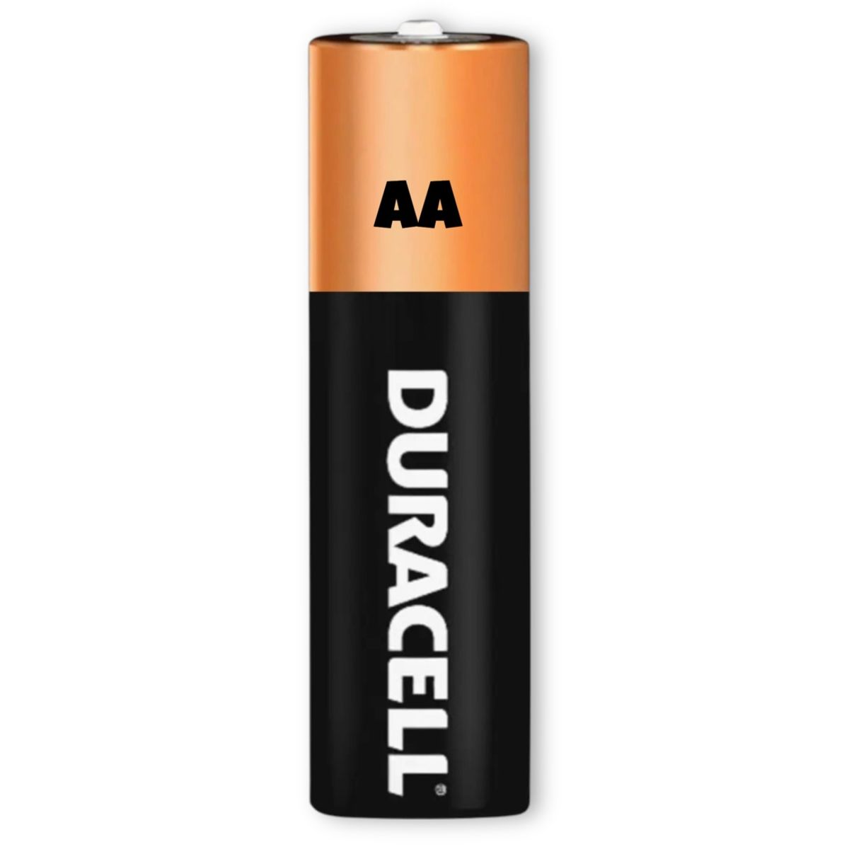 DURACELL - Pack 12 Pilas Duracell AA Alcalina 1.5 V de Larga Duración DURACELL