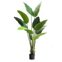 COREL - Palmera Sterlitzia 160cm Artificial Flor De Pajaro