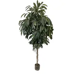 COREL - Árbol Ficus Alli No Incluye