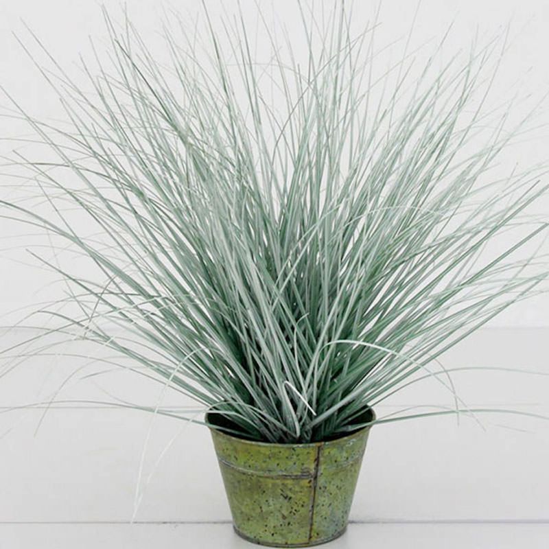 COREL - Pasto Cebra Gris 48cm Artificial