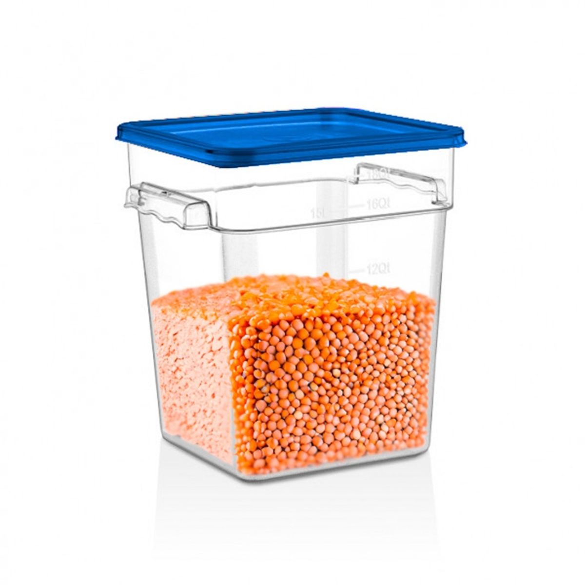 GASTROPLAST - RECIPIENTE POLICARBONATO CUADRADO 17,2 LT CON TAPA AZUL GASTROPLAST