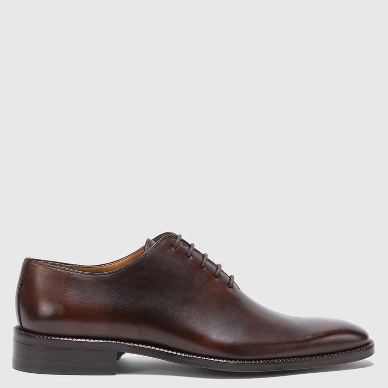 Zapato - Suela President - - Chocolate