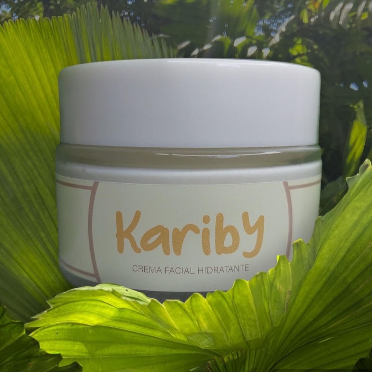 GENERICO - Crema facial hidratante de arroz-