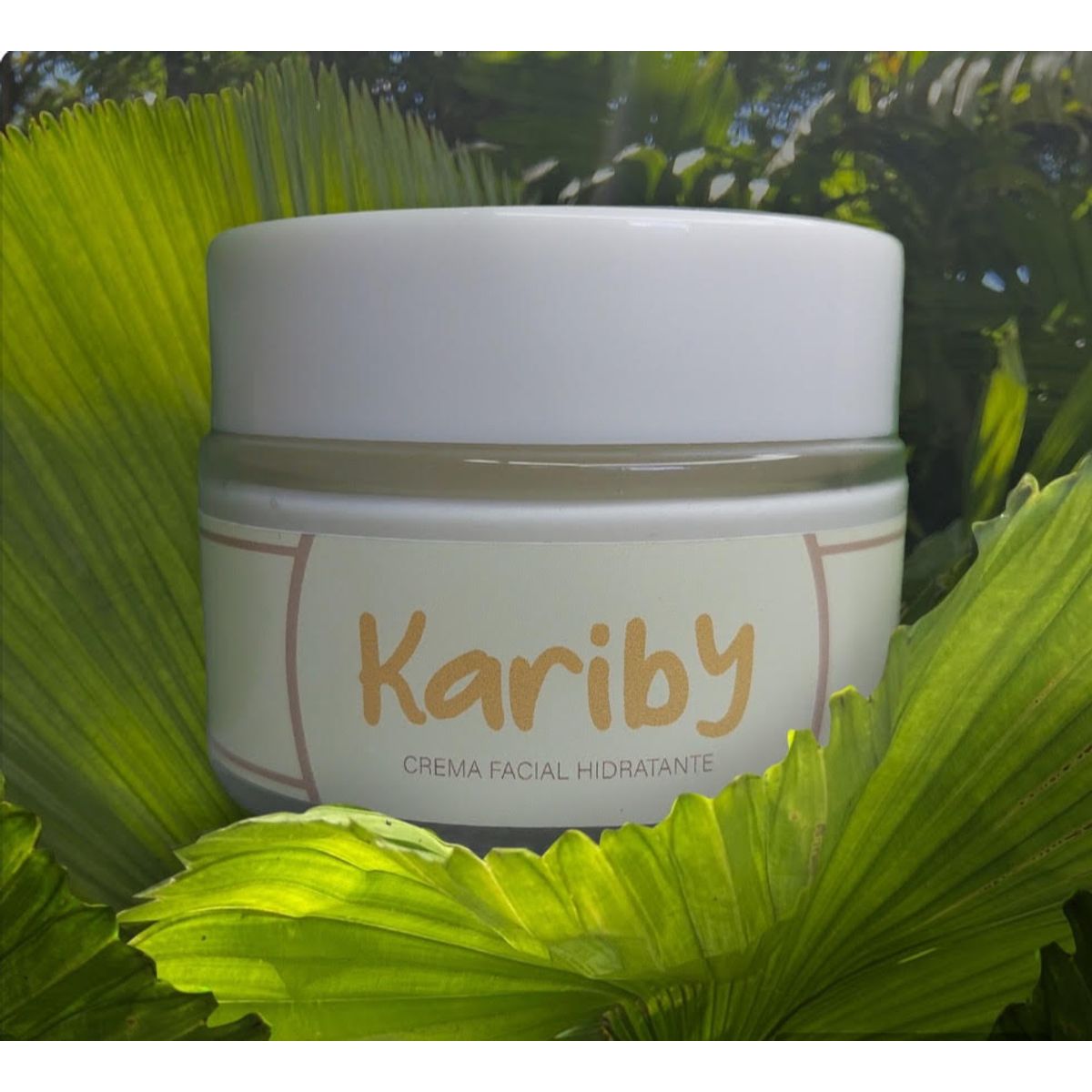 GENERICO - Crema facial hidratante de arroz-