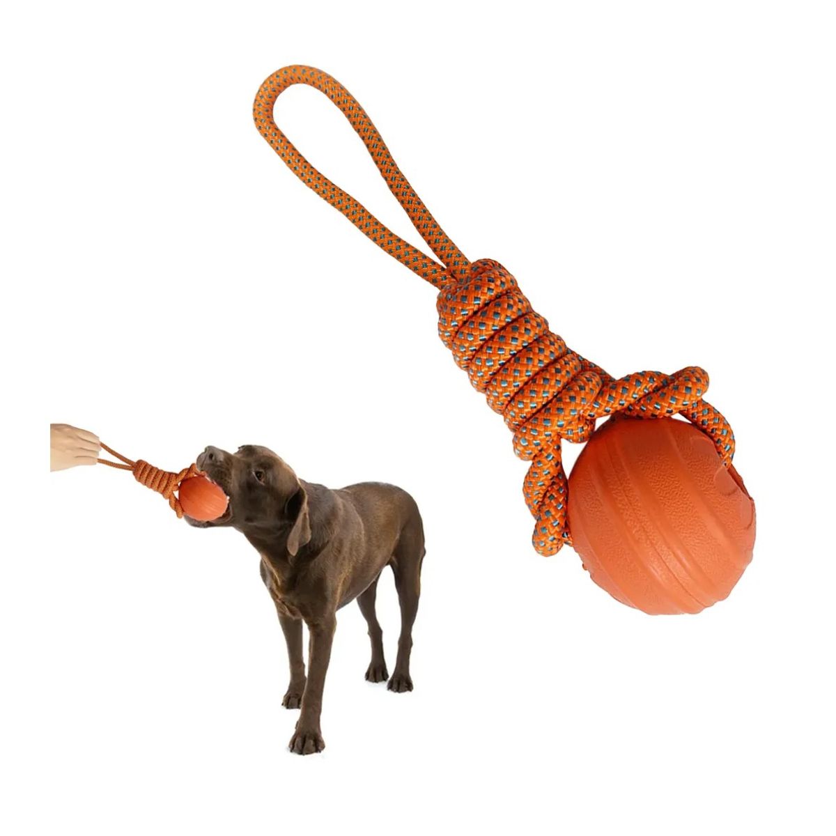 GENERICO - JUGUETE DE CUERDA MORDEDOR PARA PERROS