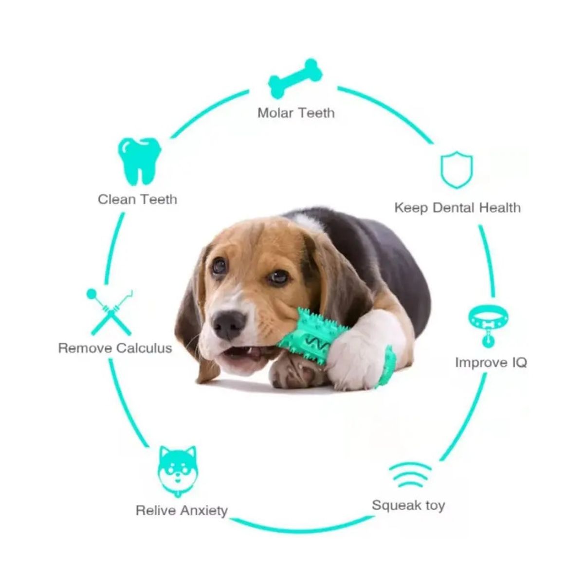 GENERICO - Juguete Mordedor Para Perros Interactivo Encía Ansiedad