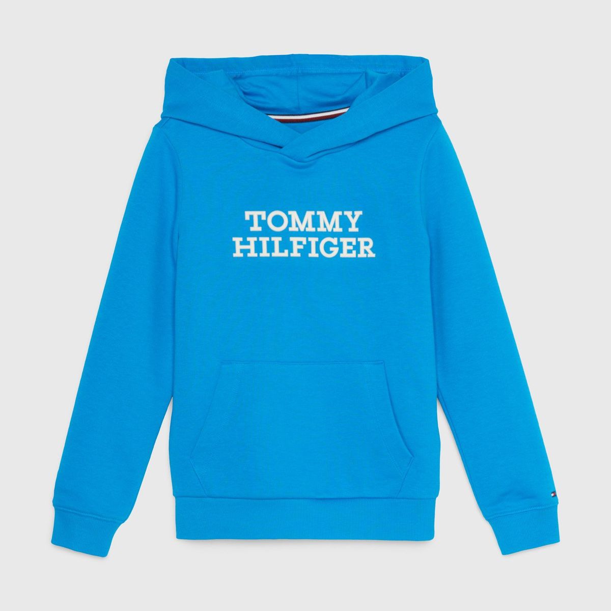 TOMMY HILFIGER - Polerón Hoodie De Felpa Azul Tommy Hilfiger