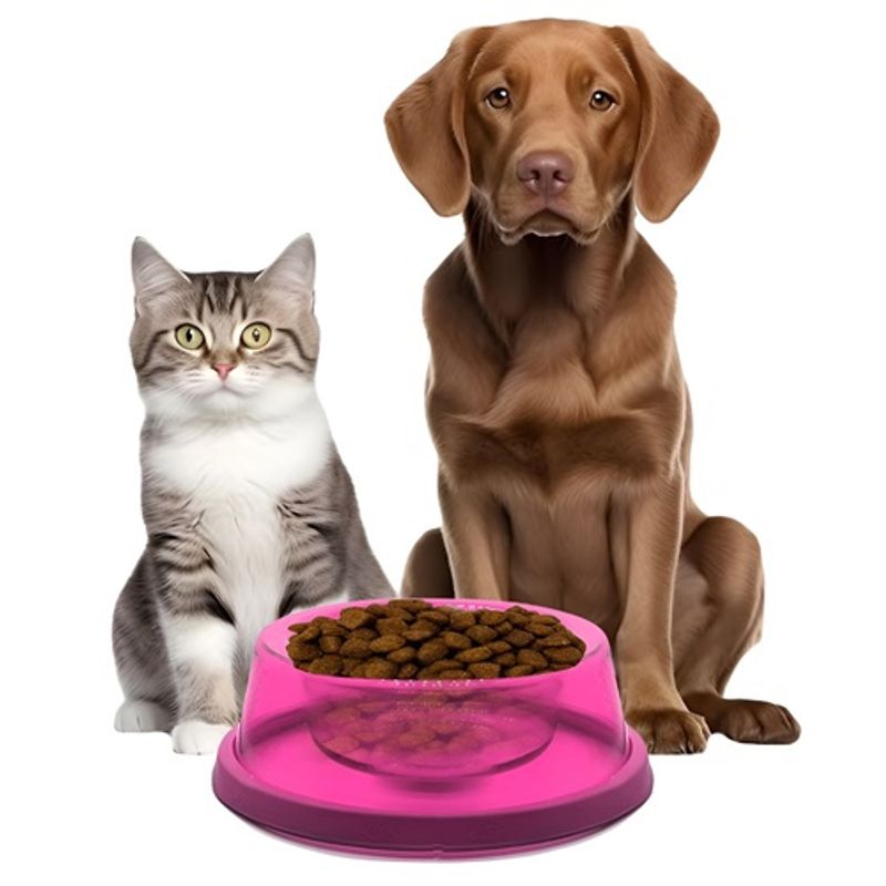 GENERICO - Plato De Comida Para Gatos Bebedero Gato Perro Mascotas Rosa