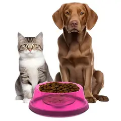 GENERICO - Plato De Comida Para Gatos Bebedero Gato Perro Mascotas Rosa