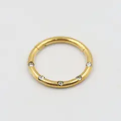 GENERICO - Argolla PVD oro con circones Cierre Click 10mm Philippa Joyas