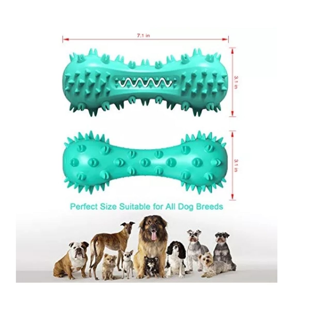 GENERICO - Juguete Masticable Para Perros Lifein Cepillo De Dientes