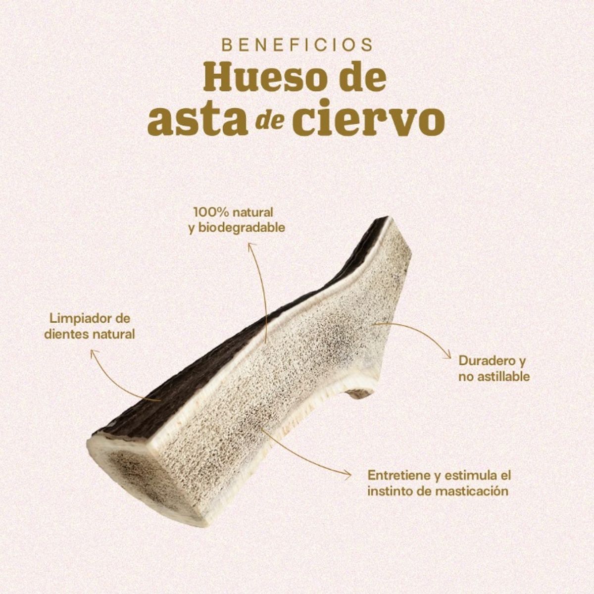 GENERICO - Hueso de Astas de Ciervo S Doggo vcto 31/05/2026