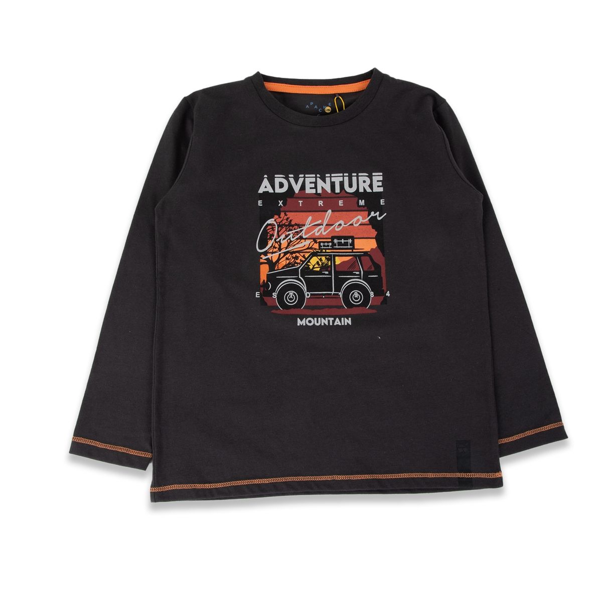 PILLIN - Polera Niño Gris oscuro Pillin PILLIN