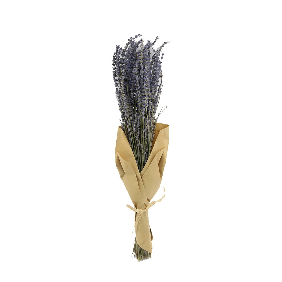 ANTICO HOME - Ramo Flores Lavanda Antico Home