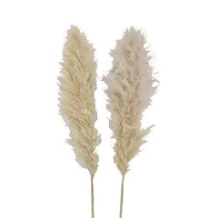 ANTICO HOME - Ramo Flores Pampas Blanca Natural