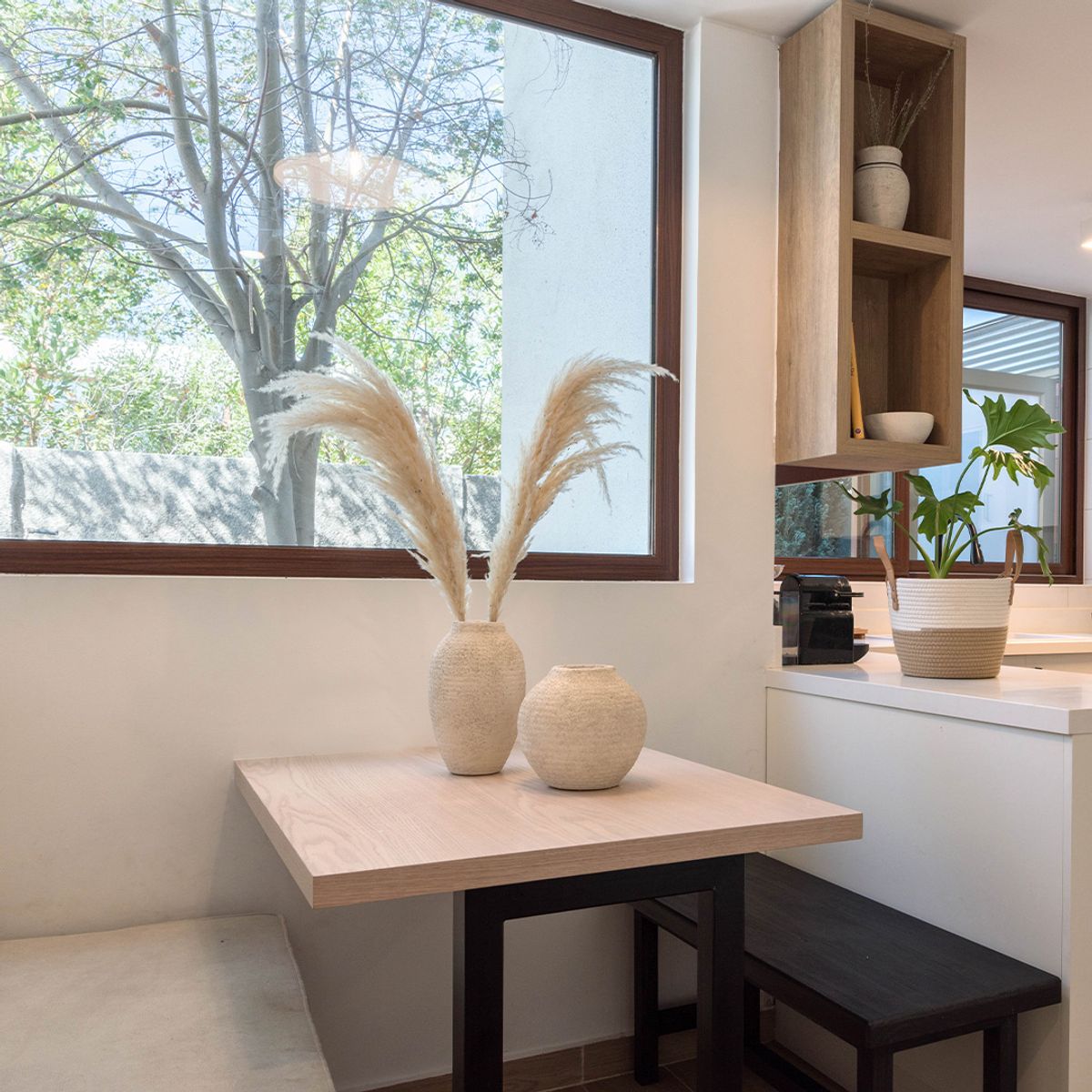 ANTICO HOME - Ramo Flores Pampas Blanca Natural Antico Home