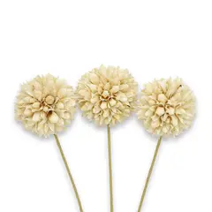 ANTICO HOME - Ramo Flores Craspedia Blanco Natural