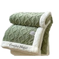 Frazada Plush con Chiporro, 2 plazas