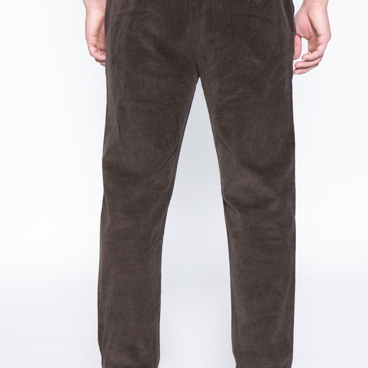 FEROUCH - Pantalon Cambridge F Café Ferouch