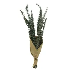 ANTICO HOME - Ramo Flores Eucaliptus Natural
