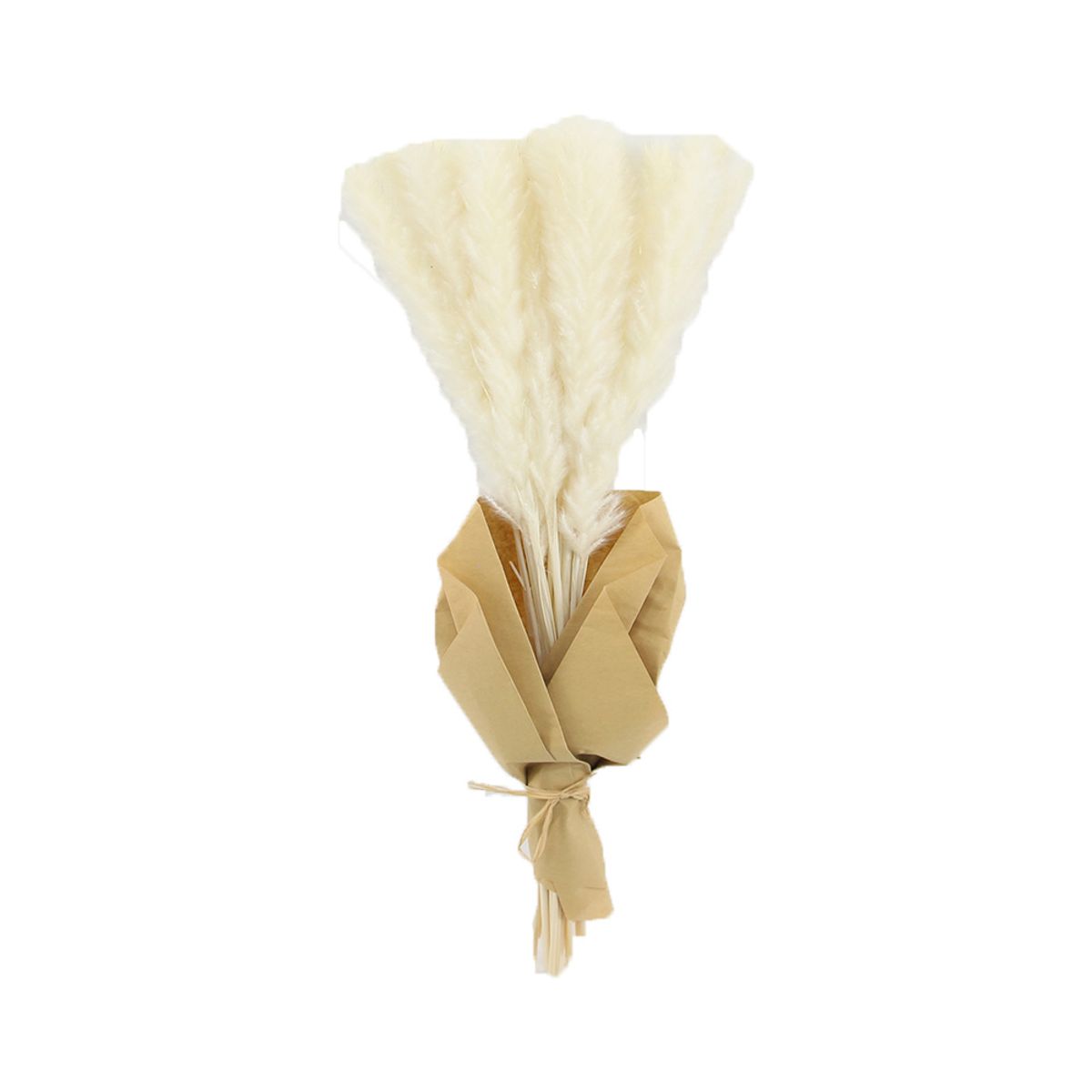 ANTICO HOME - Ramo Flores Pampas Natural Blanca Antico Home