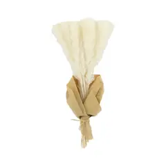 ANTICO HOME - Ramo Flores Pampas Natural Blanca