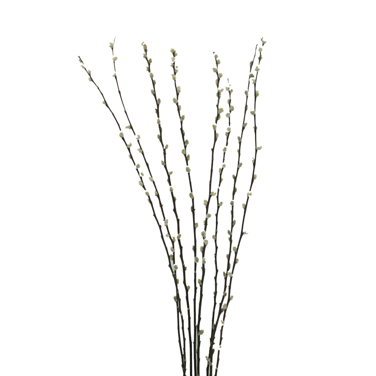 ANTICO HOME - Ramo de Flores Sauce Cabruno Branches Antico Home