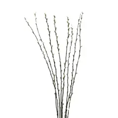 ANTICO HOME - Ramo Flores Sauce Cabruno Branches