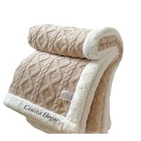 Frazada Plush con Chiporro, 2 plazas