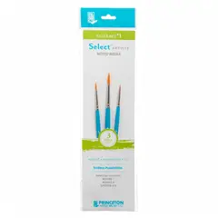 PRINCETON - Set 3 Pinceles Value Set 1