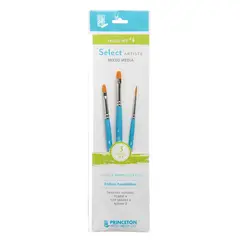 PRINCETON - Set 3 Pinceles Value Set 4