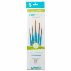 PRINCETON - Set 5 Pinceles Value Set 10